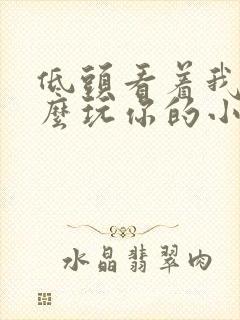 低头看着我是怎么玩你的小说