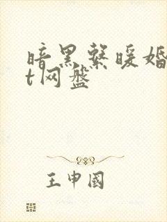 暗黑系暖婚txt网盘