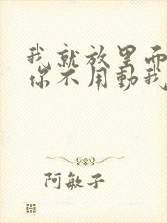 我就放里面不动你不用动我动