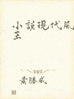小说现代风流霸主