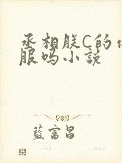 丞相朕C的你舒服吗小说