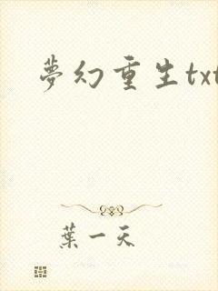 梦幻重生txt