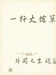 一杆大枪草全家