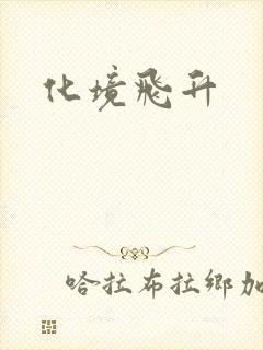 化境飞升