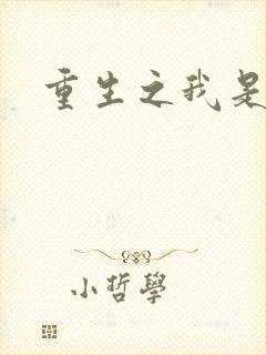 重生之我是杨过