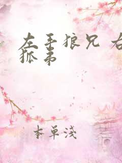 左手狼兄 右手狐弟