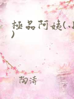 极品阿姨(小说)