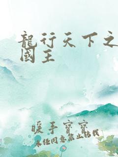 龙行天下之真假国主