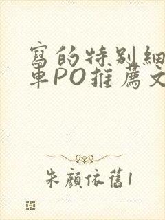 写的特别细的开车PO推荐文