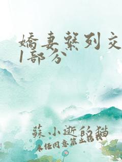 娇妻系列交换11部分