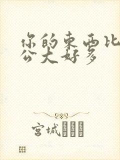 你的东西比我老公大好多