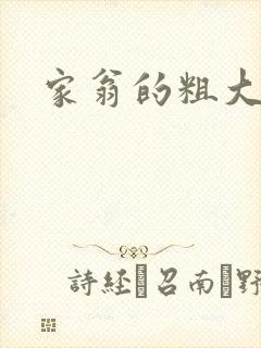 家翁的粗大