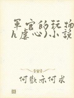 军官的玩物(高h虐心)小说