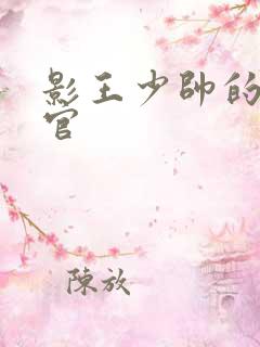 影王少帅的女长官
