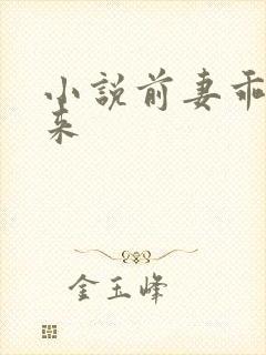 小说前妻乖乖回来