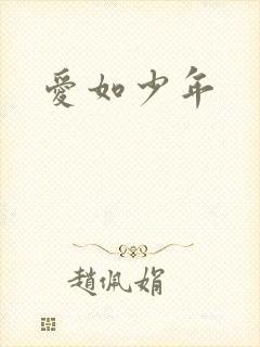 爱如少年
