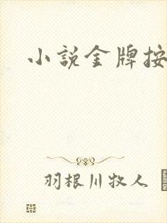 小说金牌按摩师