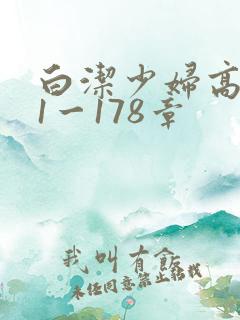 白洁少妇高义第1一178章