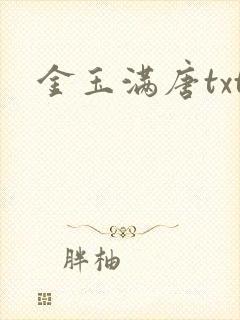 金玉满唐txt
