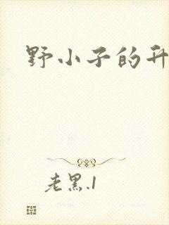 野小子的升官路