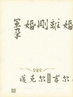 军婚刚离婚就怀孕