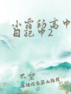 小霜的高中成长日记中2