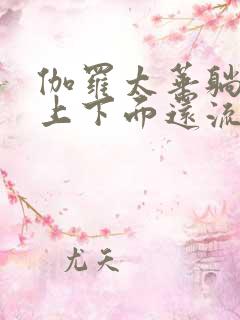 伽罗太华躺在床上下面还流东西