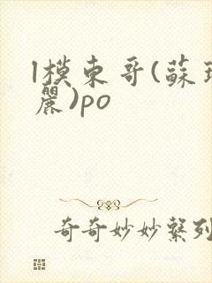 l模东哥(苏玛丽)po