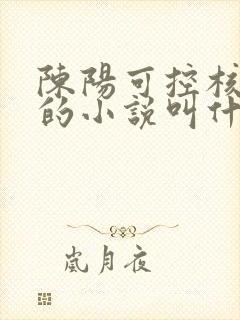 陈阳可控核聚变的小说叫什么名字