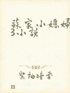 苏家小媳妇1V3小说