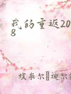 我的重返2008