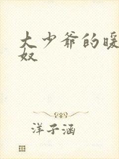 大少爷的暖床小奴