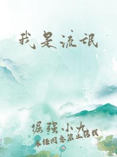 我是流氓