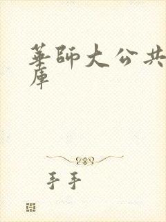 华师大公共数据库