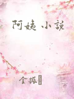 阿姨 小说