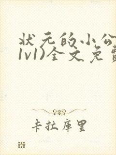 状元的小公主(1v1)全文免费阅读