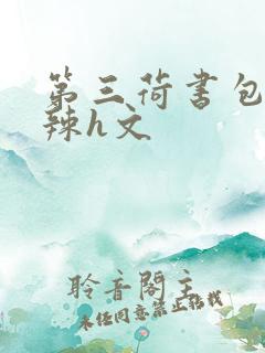 第三荷书包网高辣h文