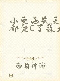 小东西几天没做都欠C了苏大深