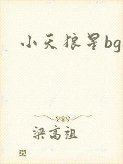 小天狼星bg