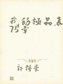 我的极品表嫂第75章