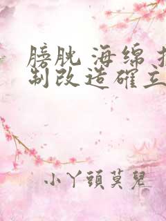 膀胱 海绵 控制改造确立m