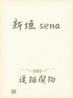 新垣 sena