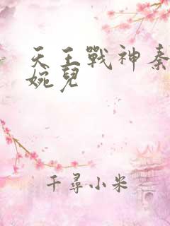 天王战神秦武林婉儿