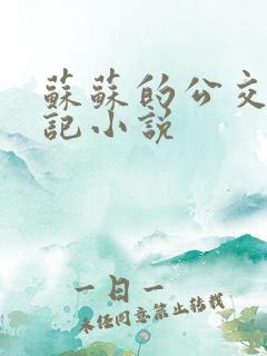 苏苏的公交车日记小说