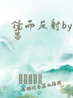 镜面反射by九葛