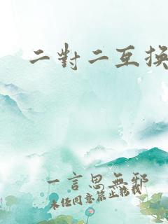 二对二互换共享