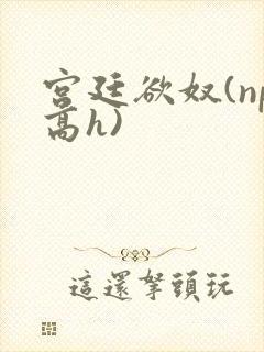 宫廷欲奴(np高h)