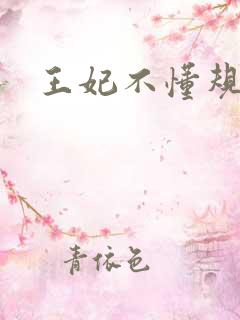 王妃不懂规矩