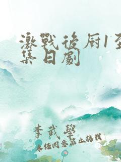 激战后厨1至5集日剧