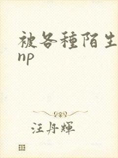 被各种陌生人 np